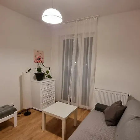 Chihuahua_apartaments Appartement